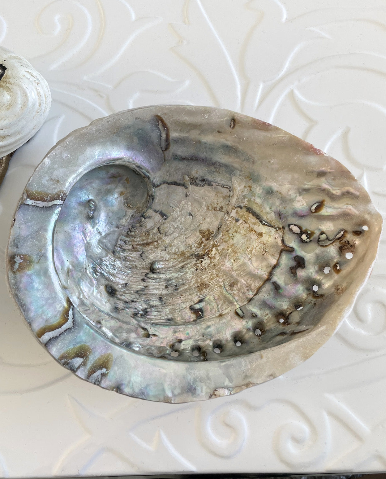 Abalone Shell Smudge Dish Bowl