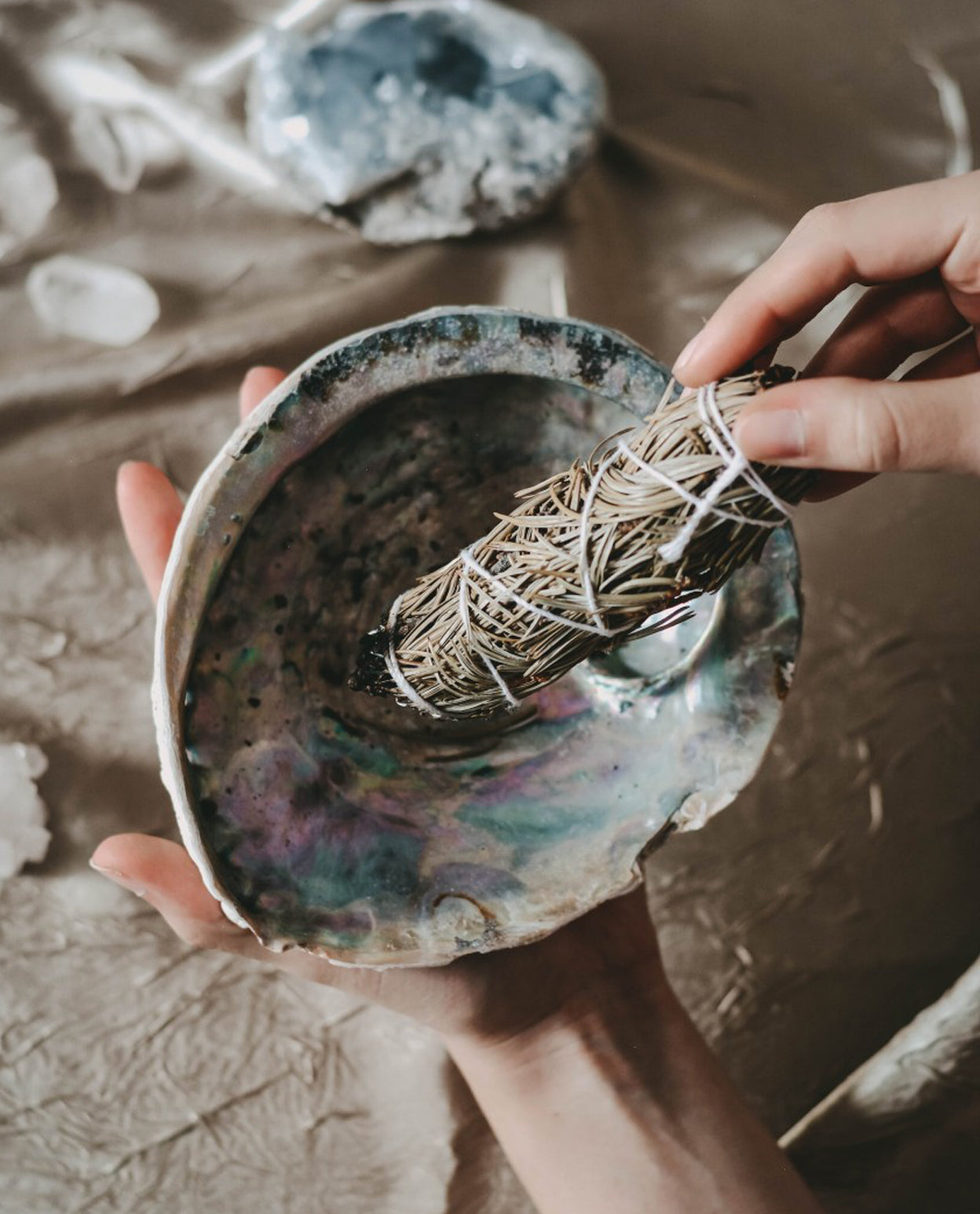 A hand holding an abalone shell being used as a smudging bowl with smudge sticks inside.